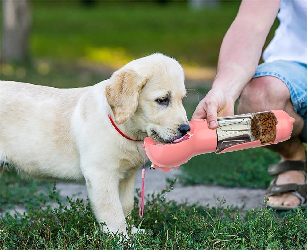 3 In 1 Pet Water Bottle Feeder