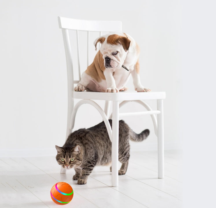 Pet Automatic Rotation Ball Toy