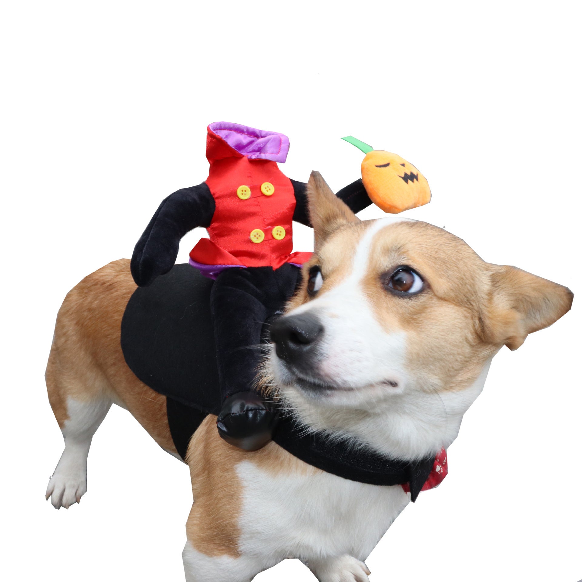 Halloween Pet Costume