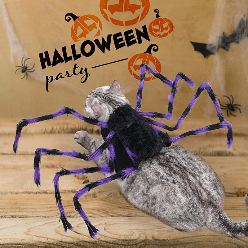 Halloween Big Spider Pet Costume