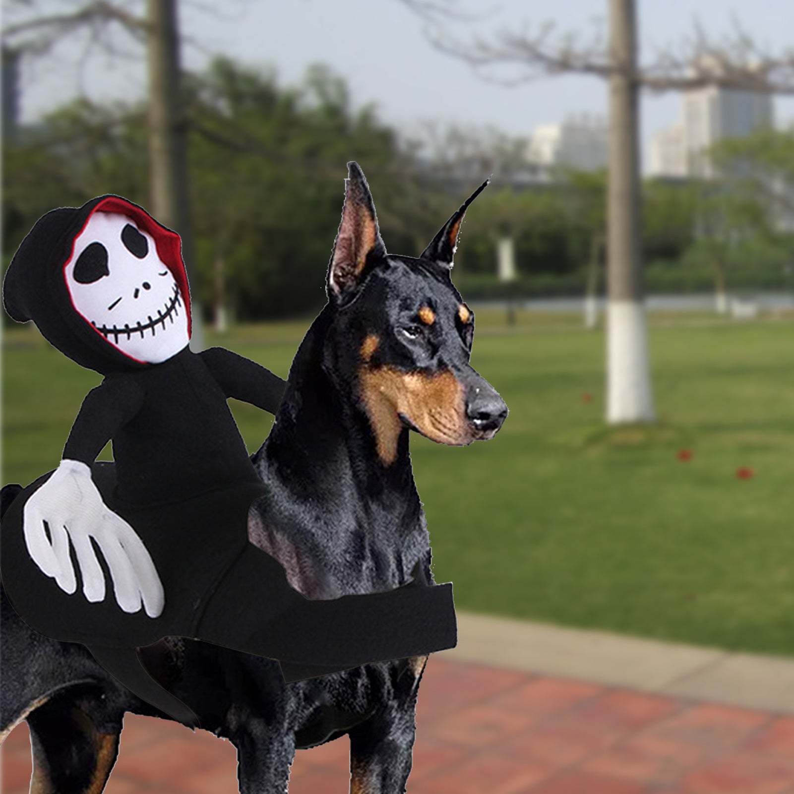 Pet Halloween Costume Spider Pumpkin Vest