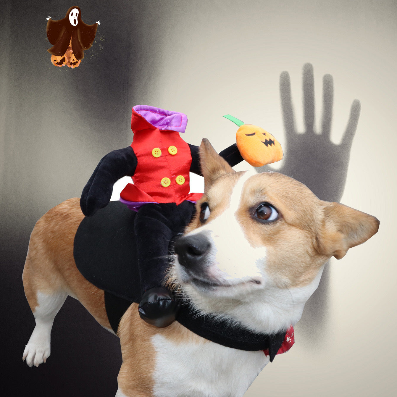 Halloween Pet Costume